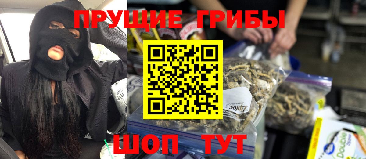 Галлюциногенные грибы GOLDEN TEACHER  Вход с VPN  Фрязино 